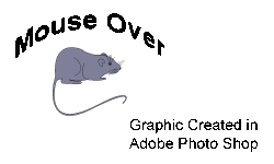 mouse